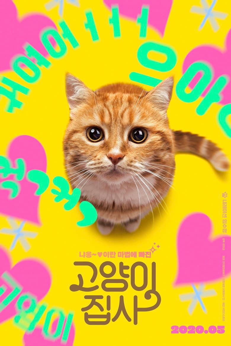 고양이 집사