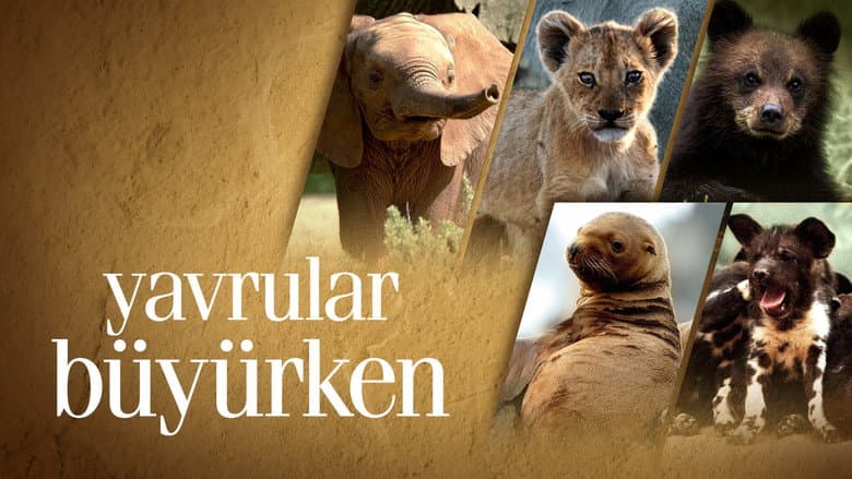 Yavrular Büyürken Görsel 2