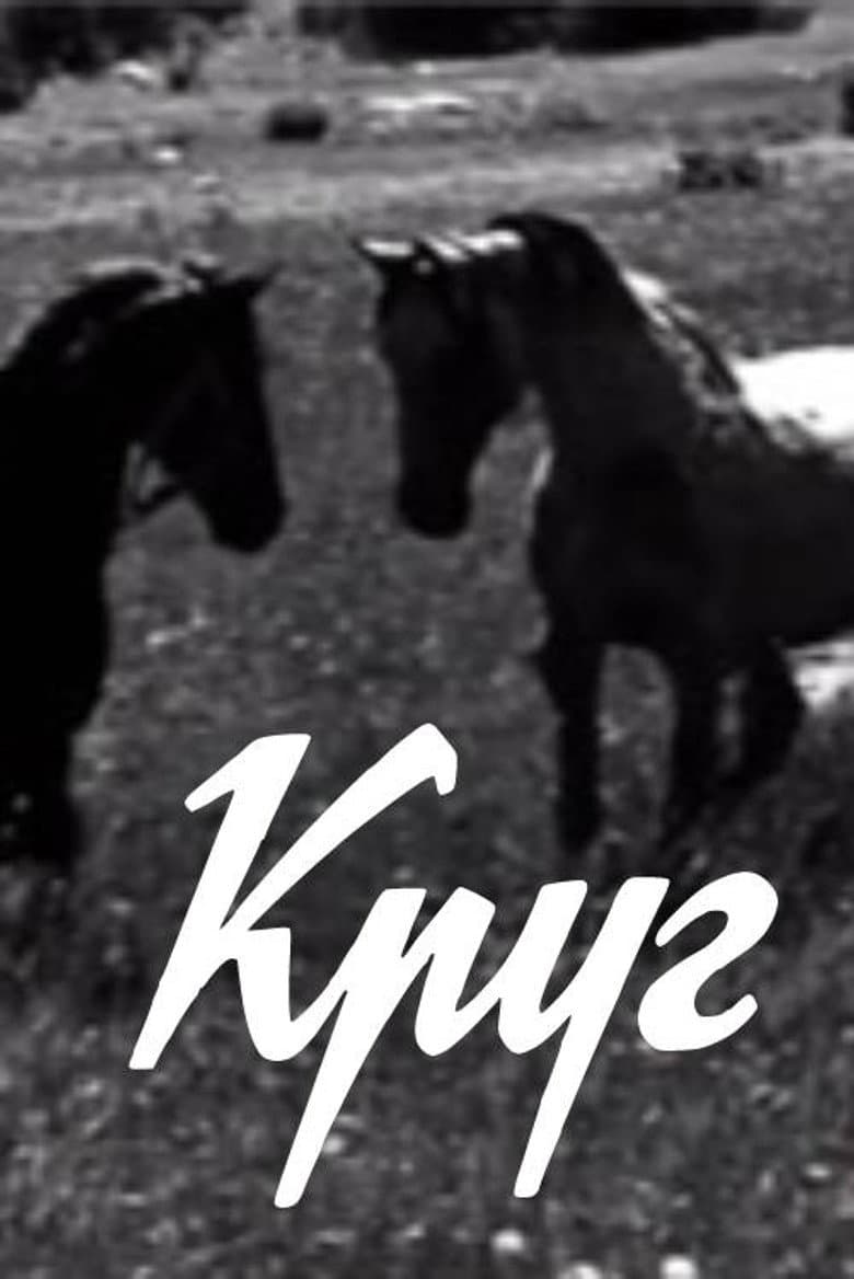 Круг