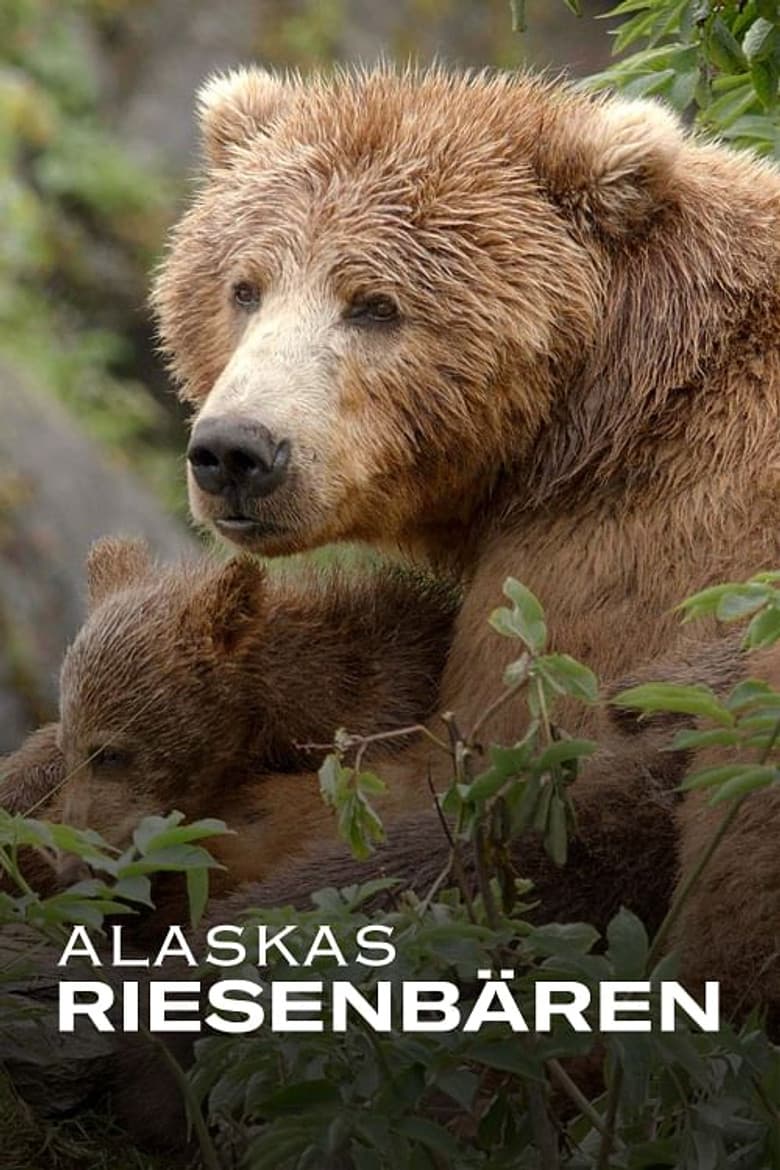 Alaskas Riesenbären