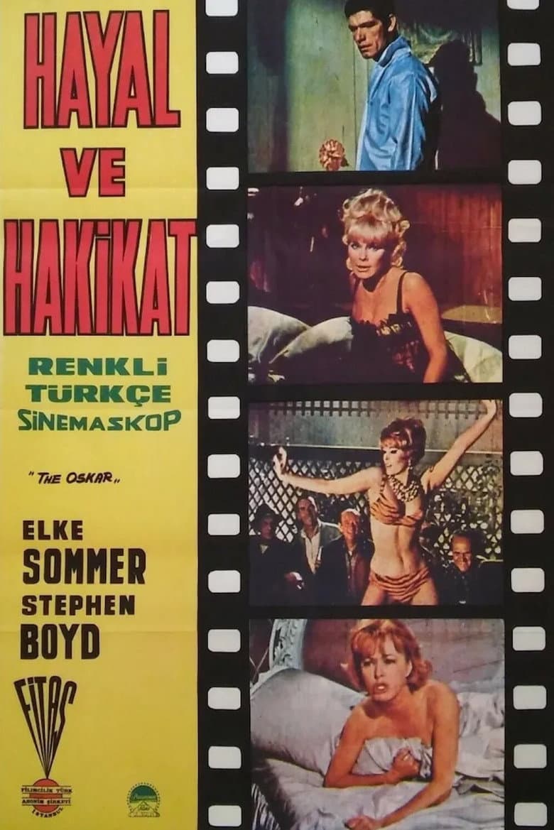 Hayal ve Hakikat