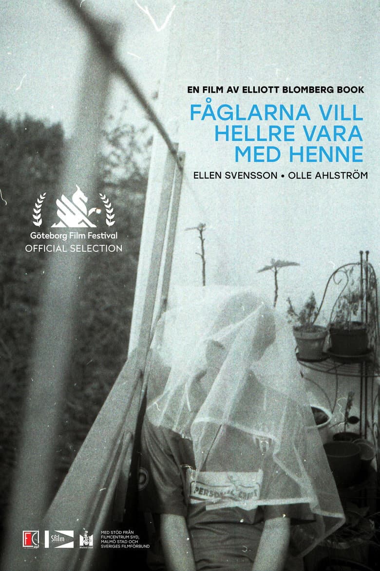 Fåglarna vill hellre vara med henne