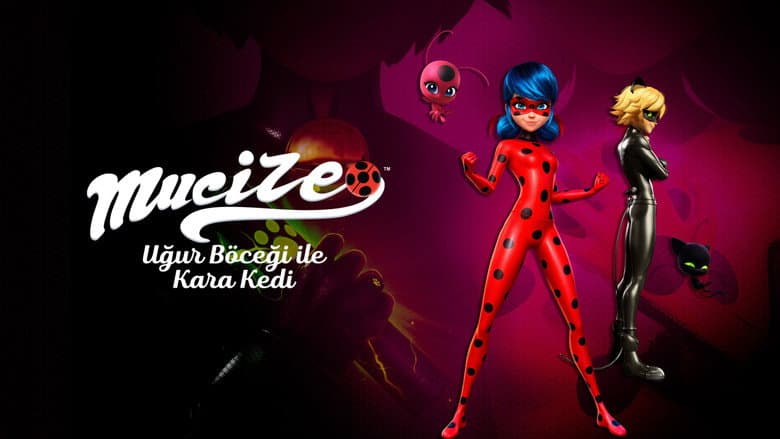 Mucize: Uğur Böceği ile Kara Kedi Görsel 1