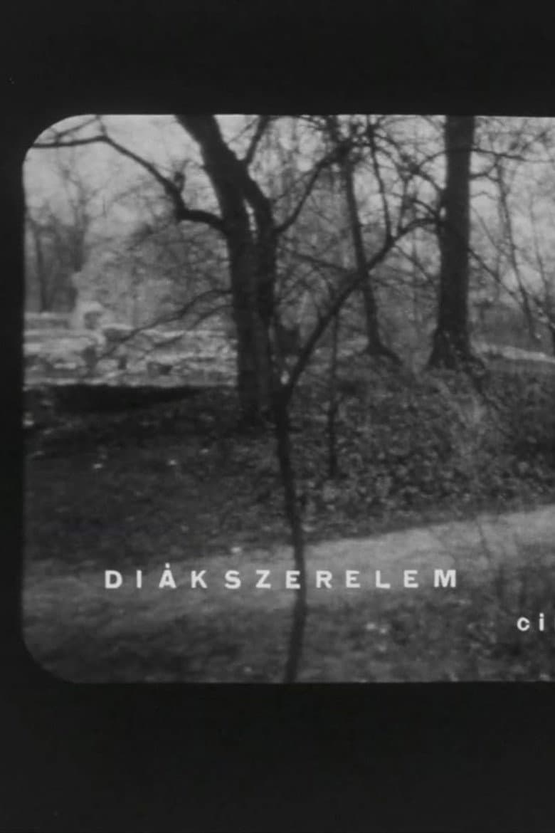 Diákszerelem