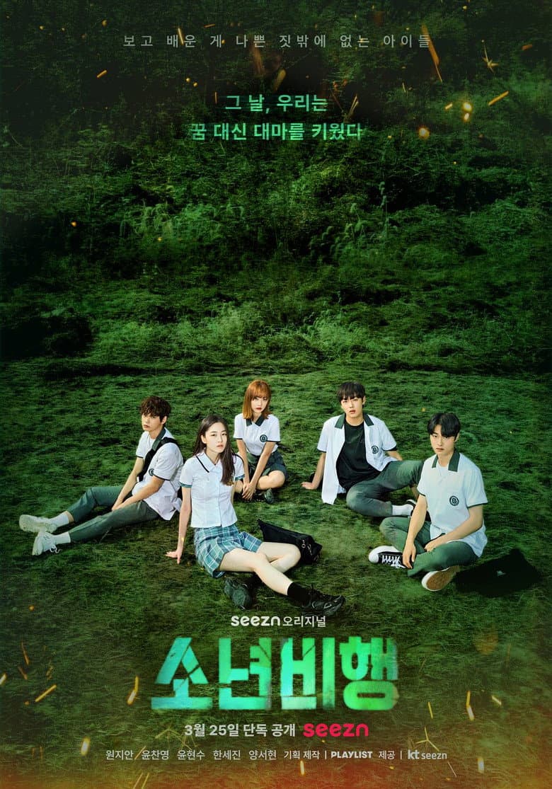 소년비행