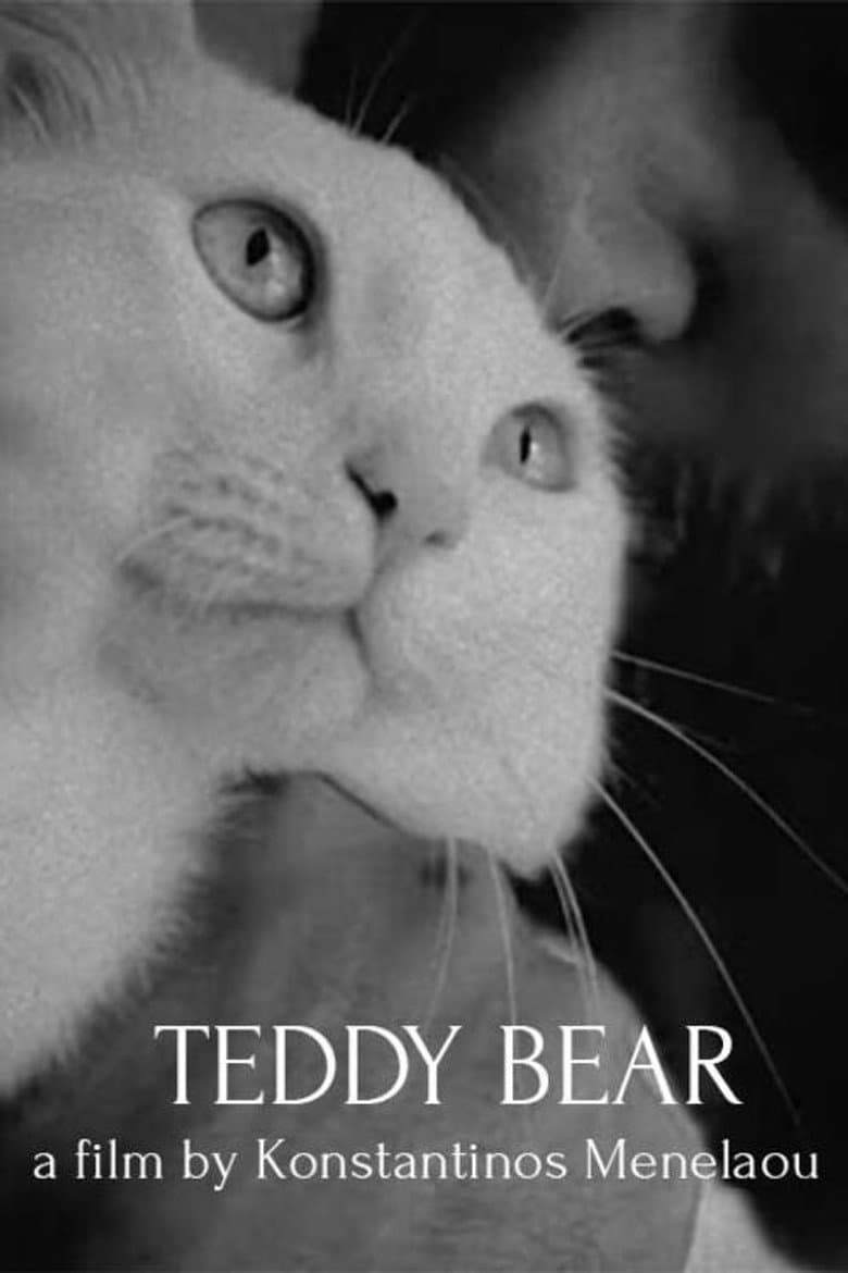 Teddy Bear