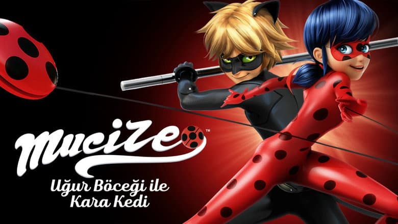 Mucize: Uğur Böceği ile Kara Kedi Görsel 2
