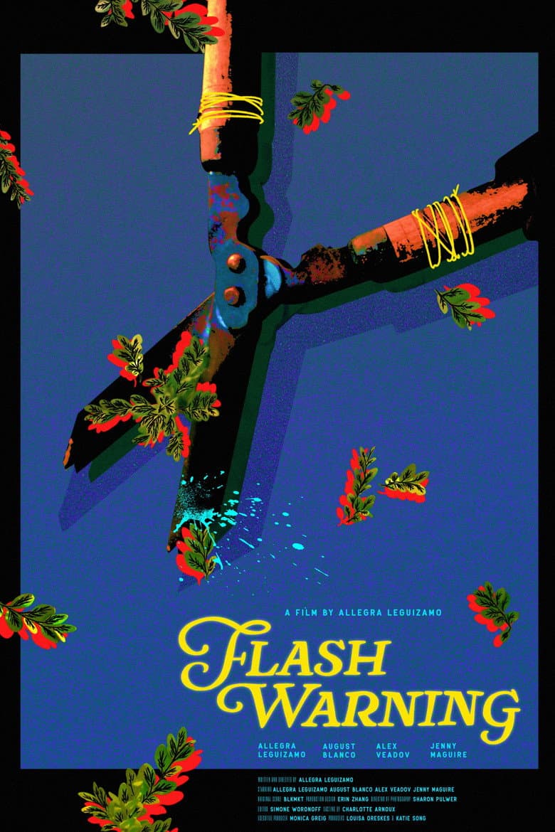 Flash Warning