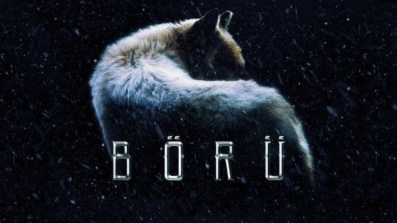 Börü Görsel 1