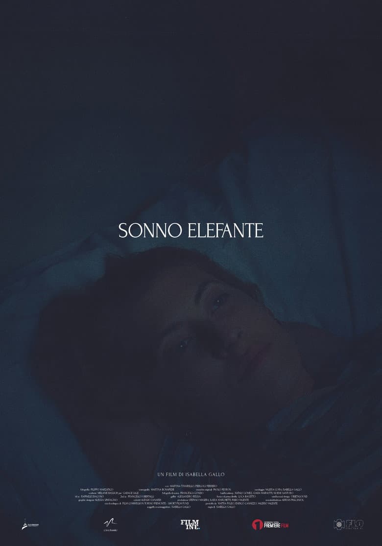 Sonno Elefante