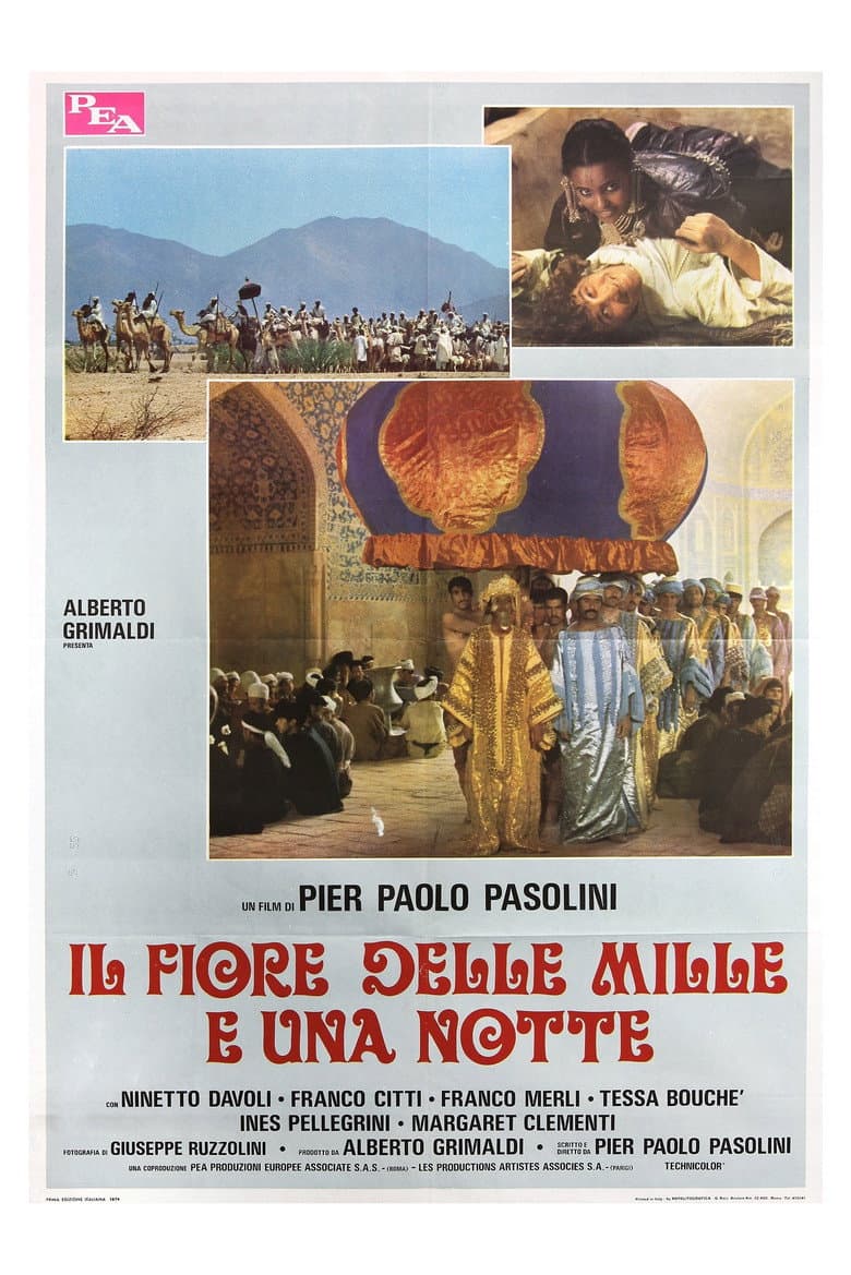 Il fiore delle Mille e una notte