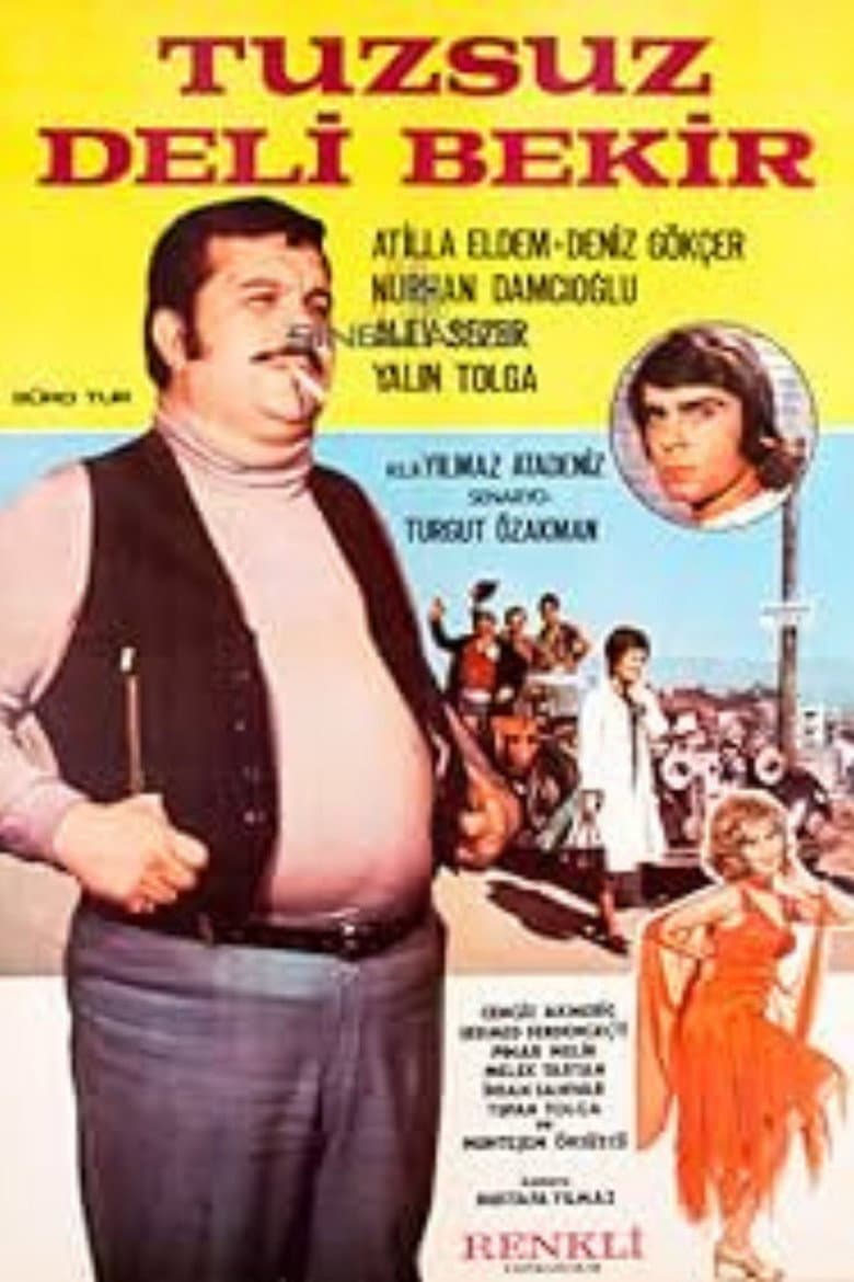 Tuzsuz Deli Bekir
