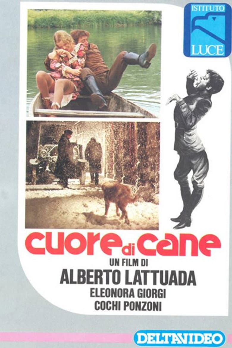Cuore di cane