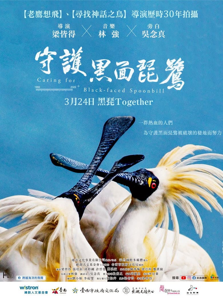 守護黑面琵鷺