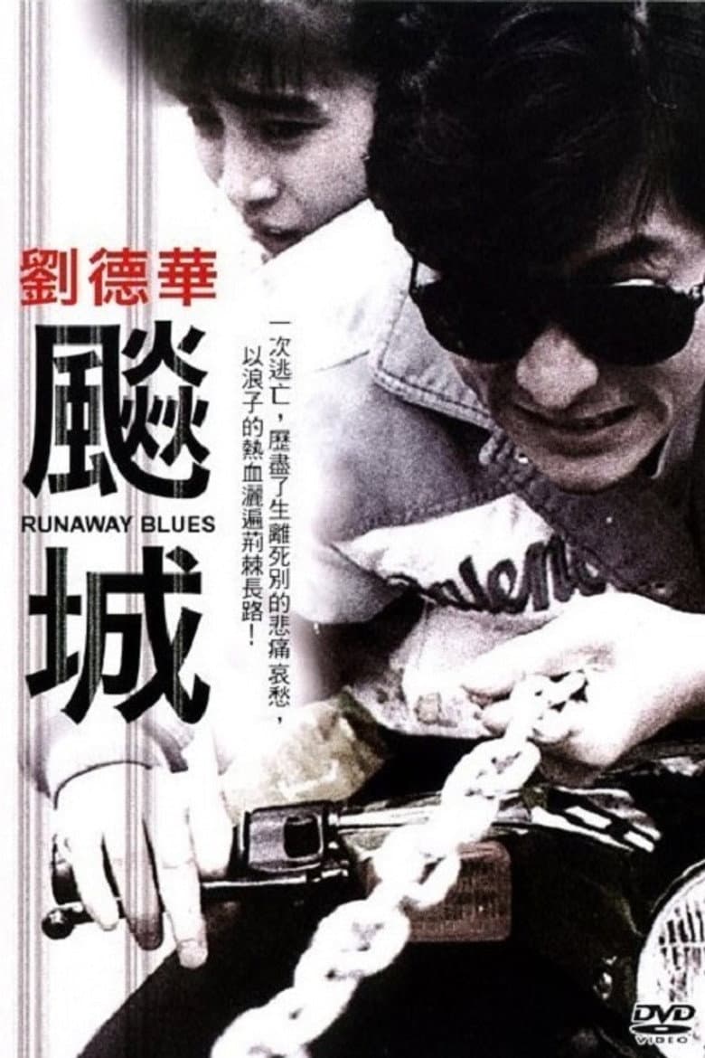 飚城