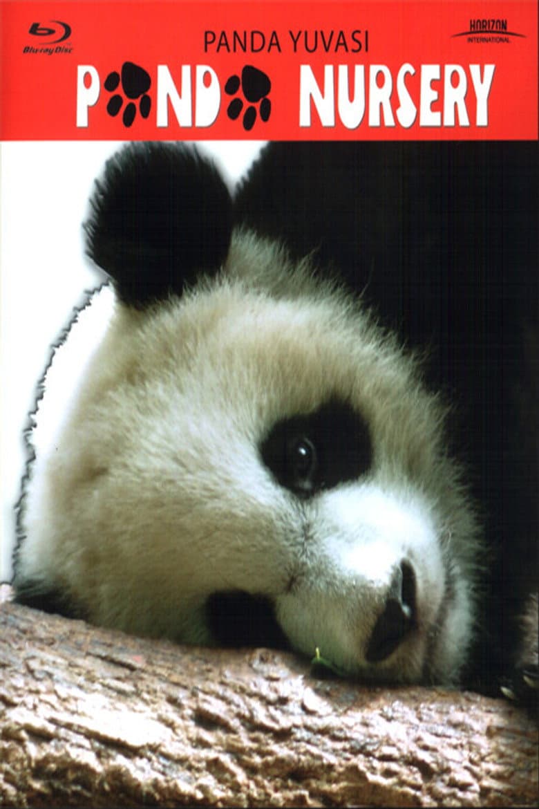 Panda Yuvası