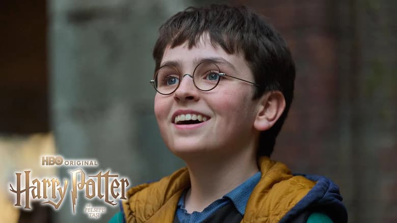 Harry Potter Görsel 3