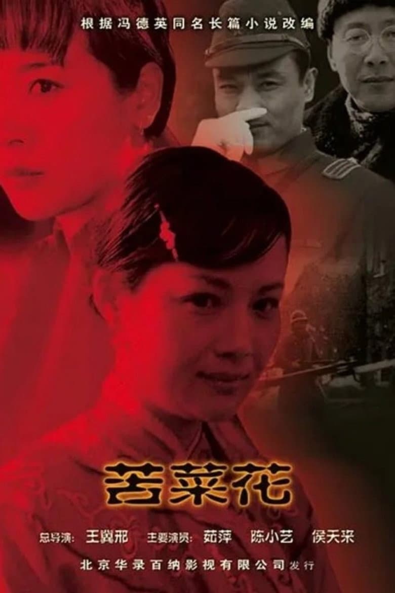 苦菜花
