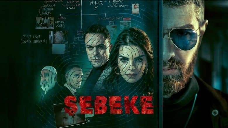 Şebeke Görsel 1