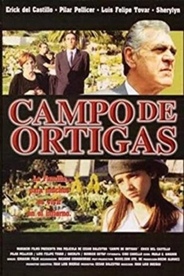 Campo de Ortigas