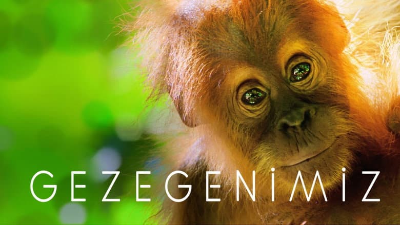 Gezegenimiz Görsel 1