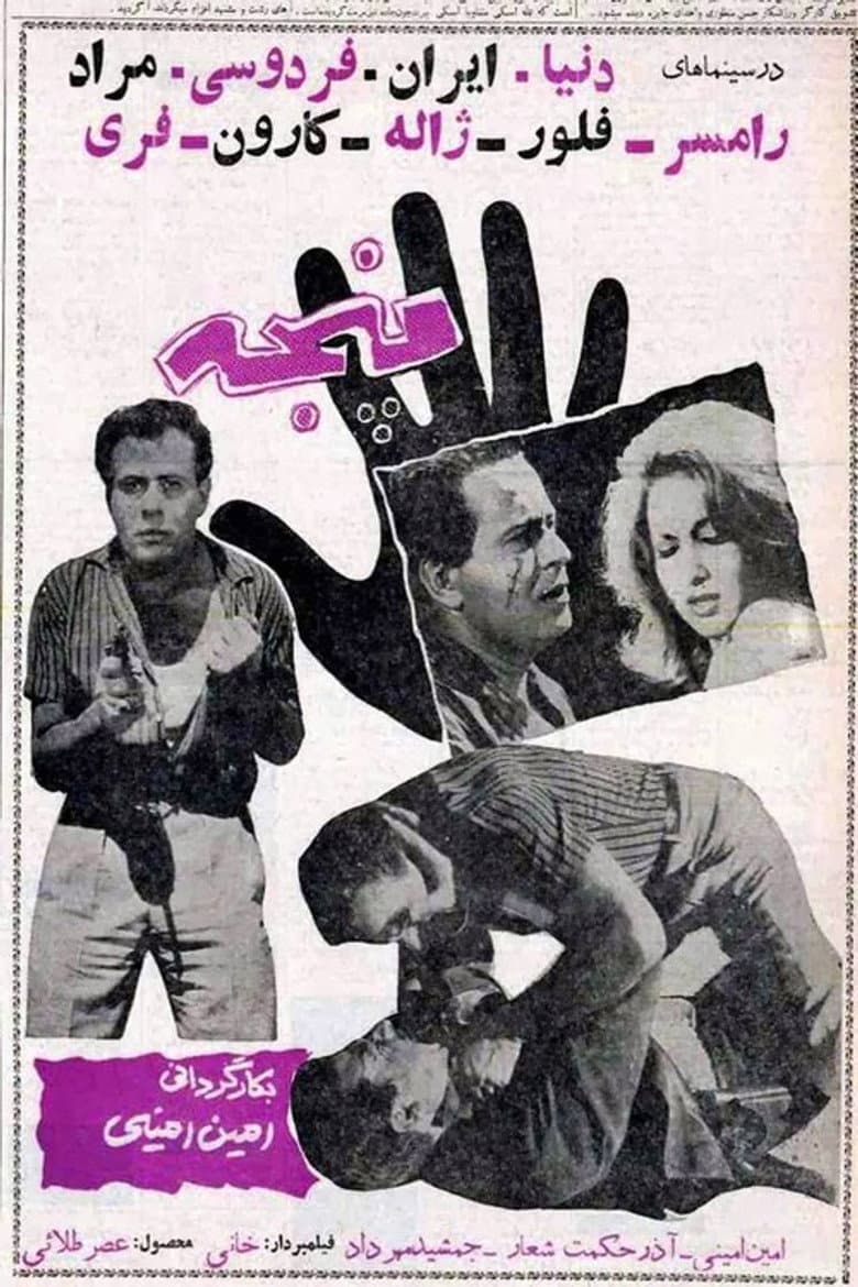 پنجه