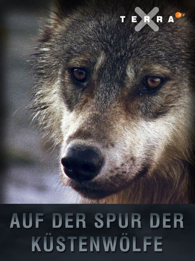 Auf der Spur der Küstenwölfe