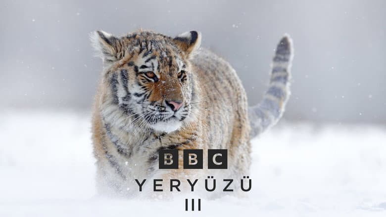 Yeryüzü III Görsel 1