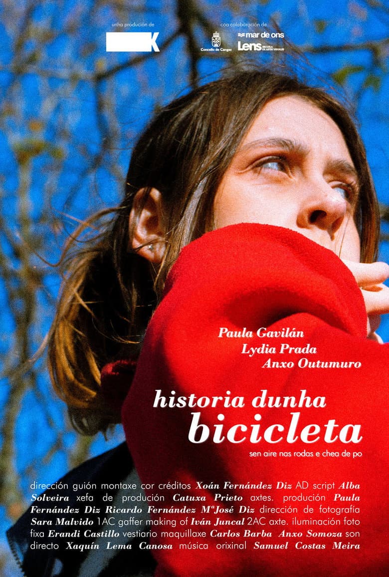 Historia dunha bicicleta (sen aire nas rodas e chea de po)