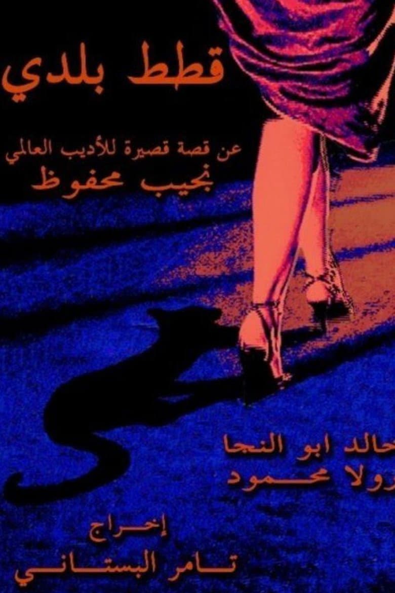 قطط بلدي