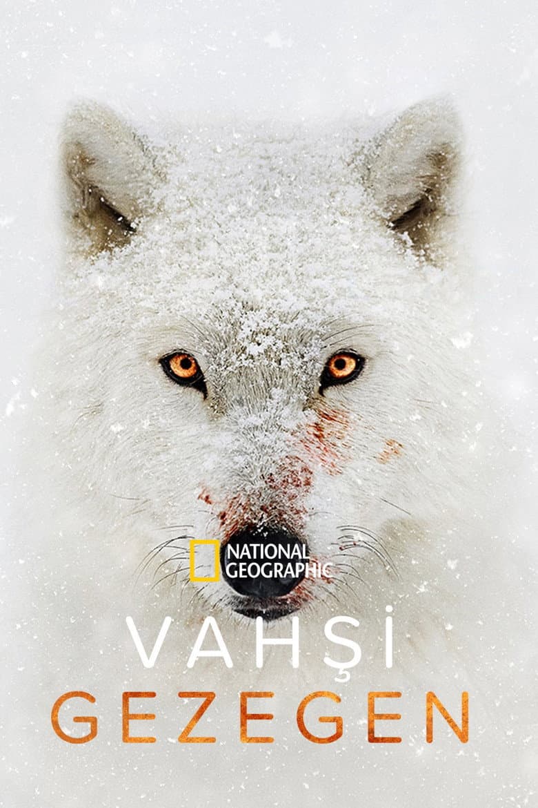 Vahşi Gezegen