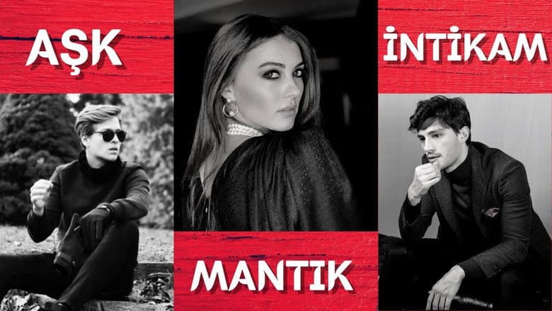 Aşk Mantık İntikam Görsel 3