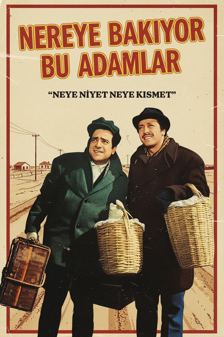 Nereye Bakıyor Bu Adamlar