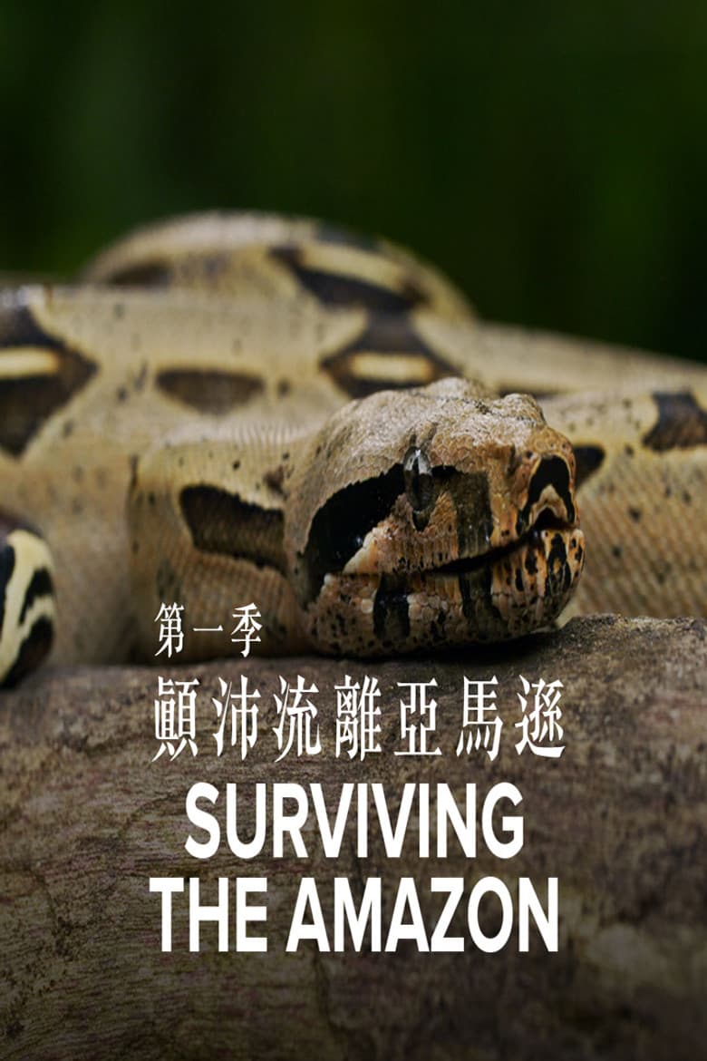 Surviving the Amazon